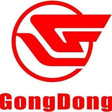 Gongdong Medical Technology